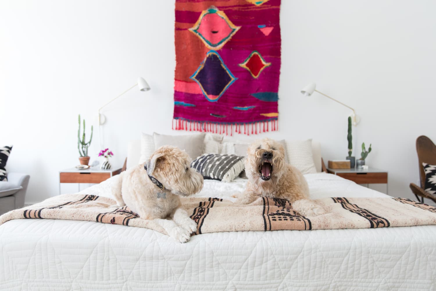 Affordable and Non-Traditional Art for the Walls | Apartment Therapy